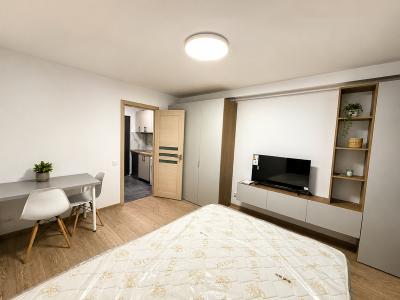 Sector 3, garsoniere de vazare 100 unitati  preluare chirie 350 euro
